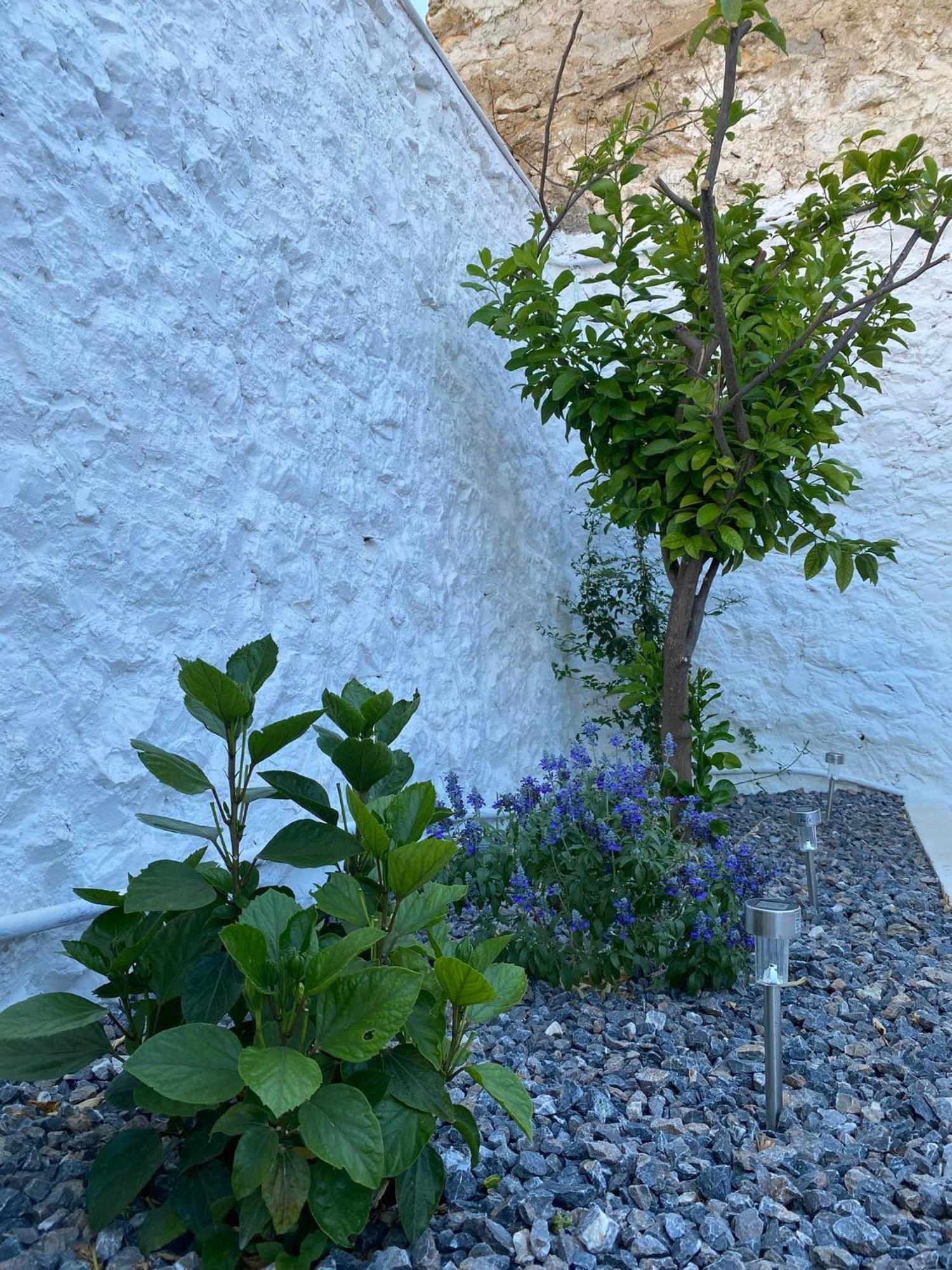 Ma Maison Nafplio Βίλα Εξωτερικό φωτογραφία